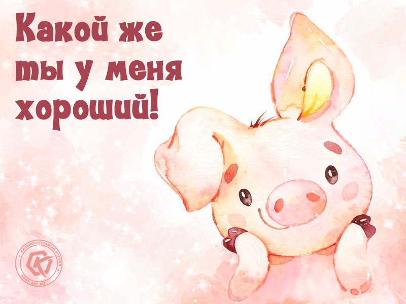 Прикольная картинка комплимент мужчине, милый поросенок, прикольная картинка на каждый день