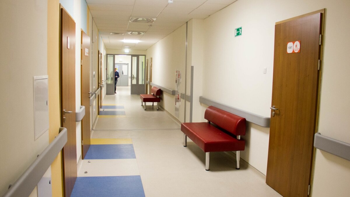     Заболевание разносят комары.