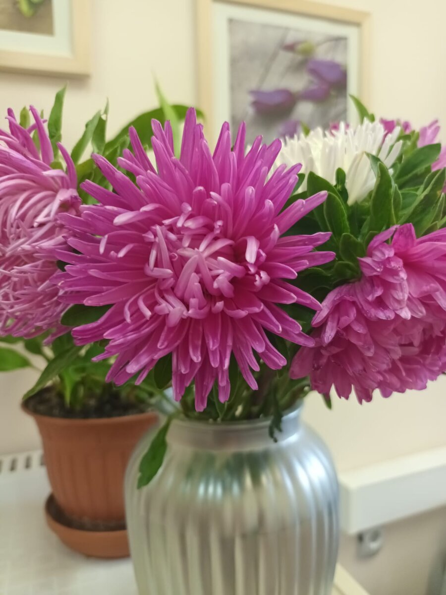 У нас был в детстве самый популярный букет на 1 сентября-астры или гладиолусы😉