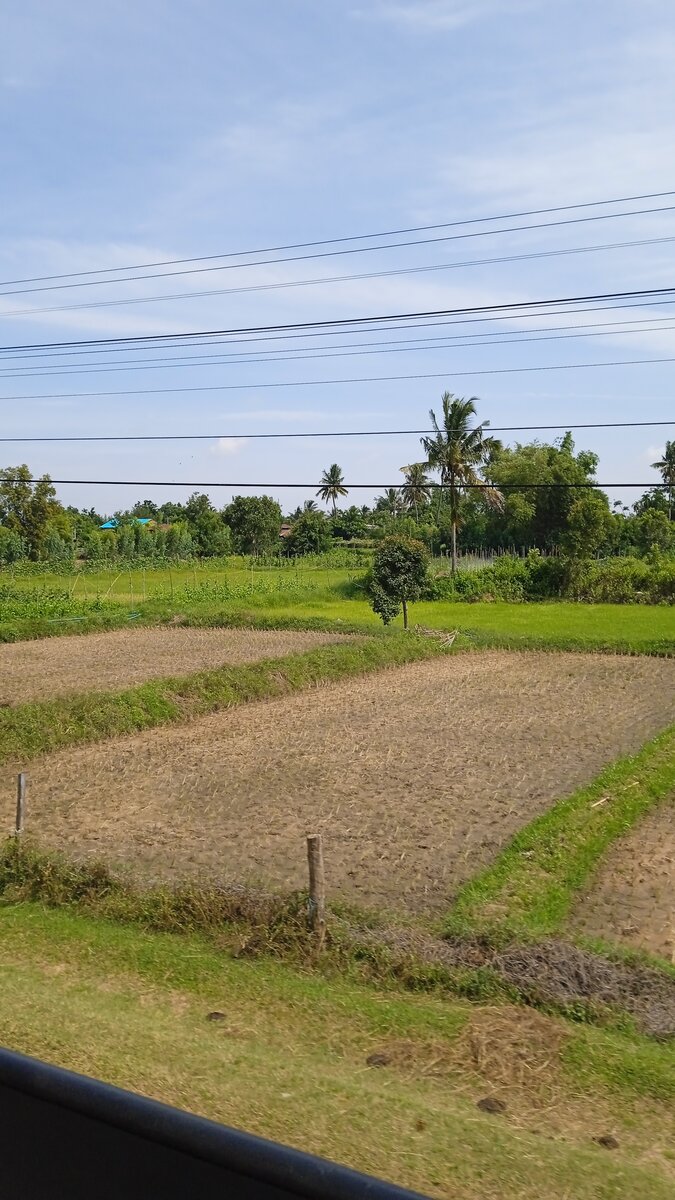 Какой вам бизнес в фейсбуках, идите на поля работать!