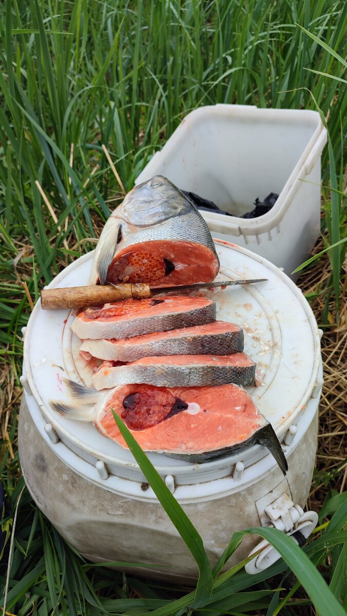 Готовят приманку для крабов