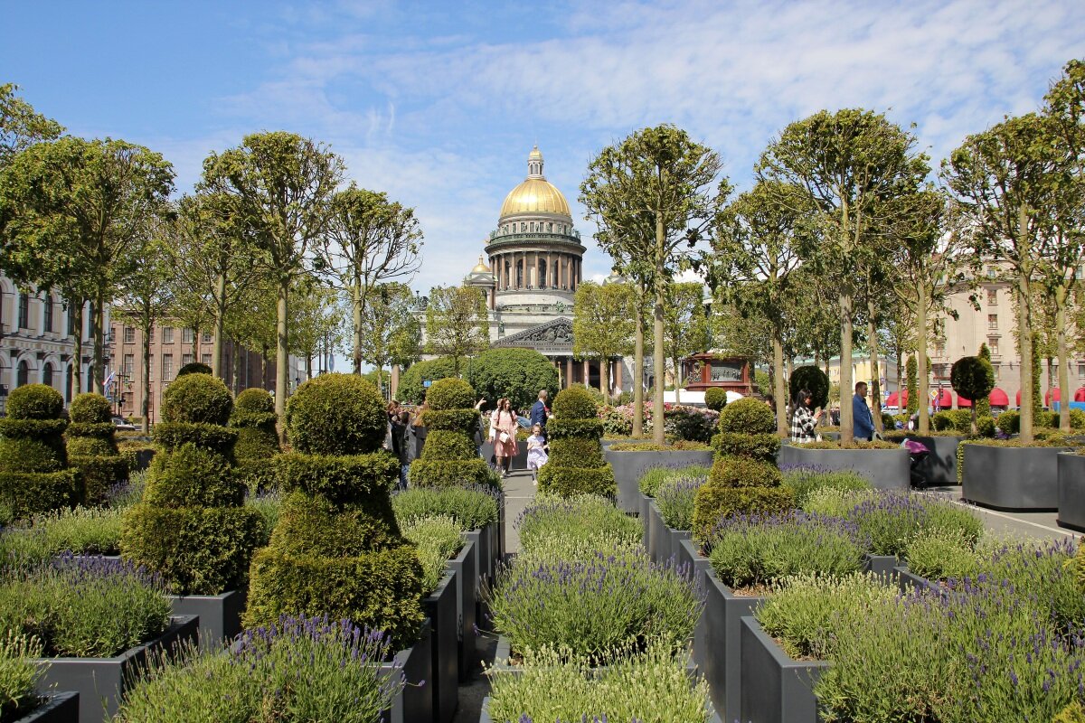 Сад-трансформер на Синем мосту