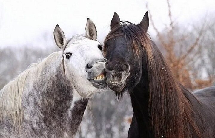 Фото из открытых источников.