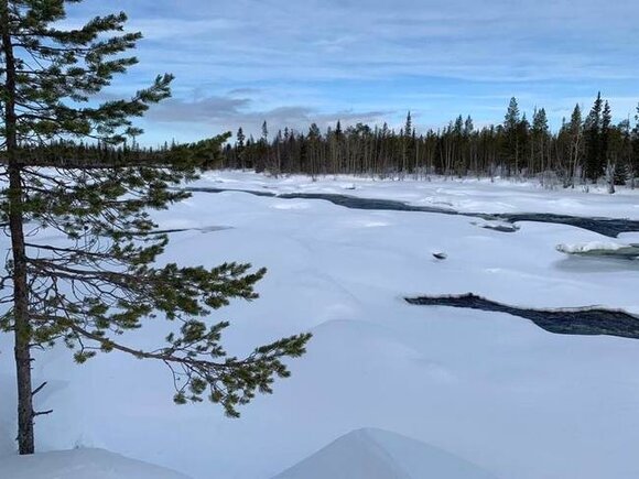    Фото ИА «Росбалт»