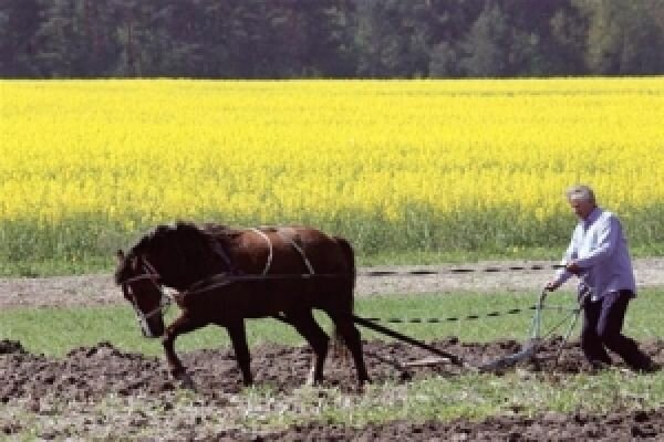    Врачей на фронт, пенсионеров в поле. Мобилизация на Украине обезлюживает село