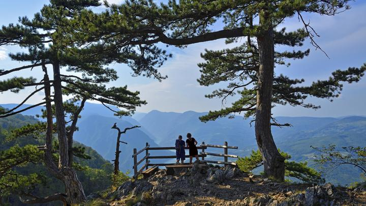 © SIMON BELCHER/IMAGEBROKER.COM/GLOBALLOOKPRESS 