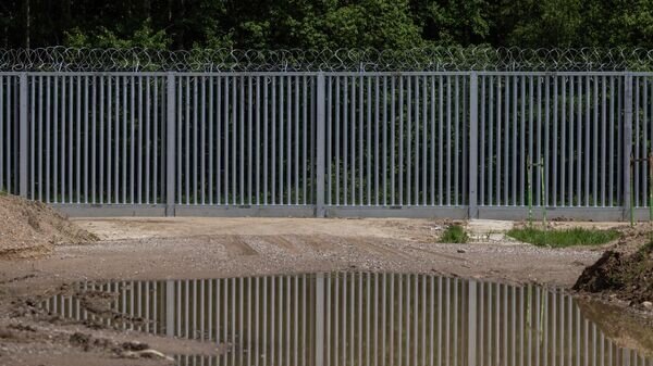    © AFP 2023 / Wojtek Radwanski