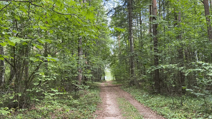Там где липы и орешник еще зелено 09.09.2023
