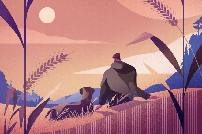 Графический дизайн