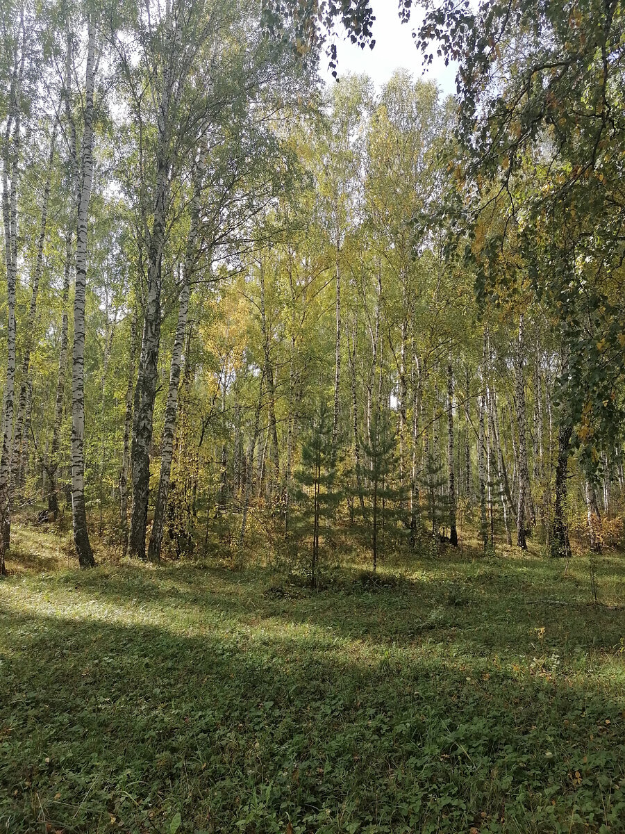 Личное фото автора 