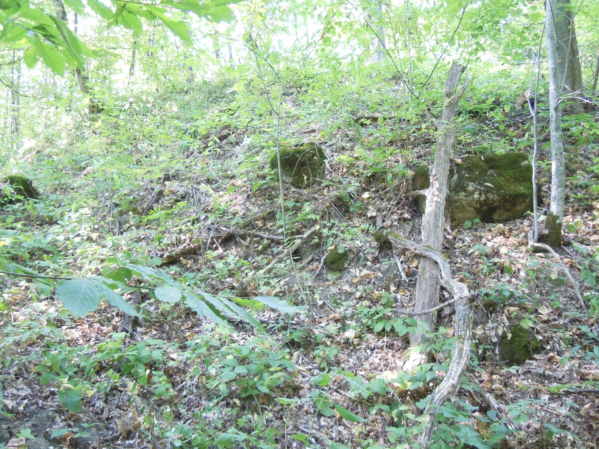 7. Вид с востока на ложбину и северную половину