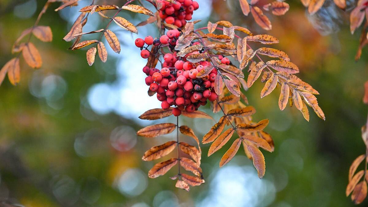    Фото: Сергей Киселев / АГН Москва