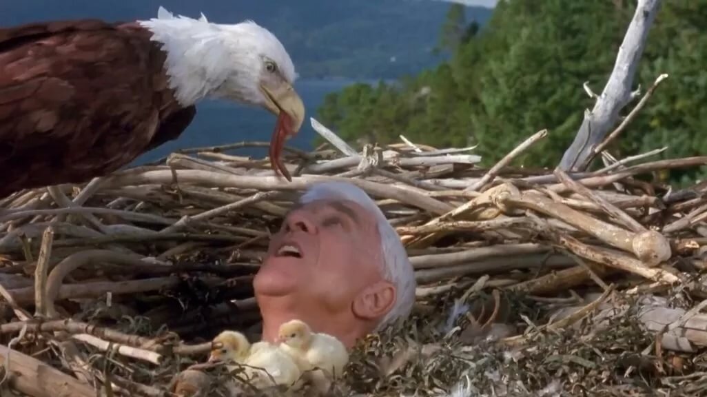 Рейтинг Кинопоиска: 7.30