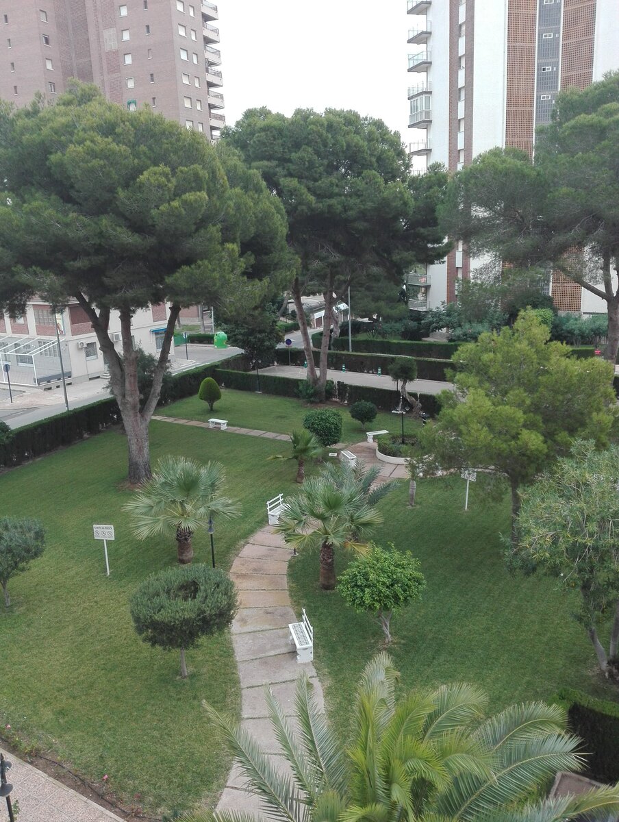 это обычный двор dehesa de campoamor