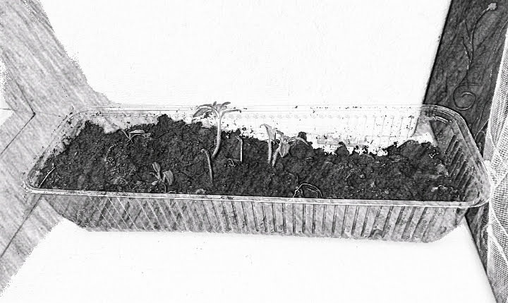 Все что уцелело