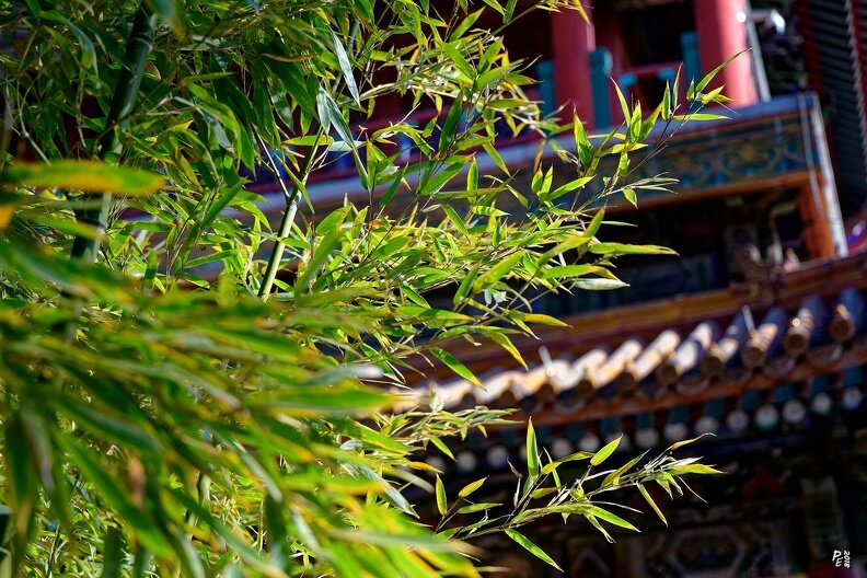 В парке Бейхай, Пекин