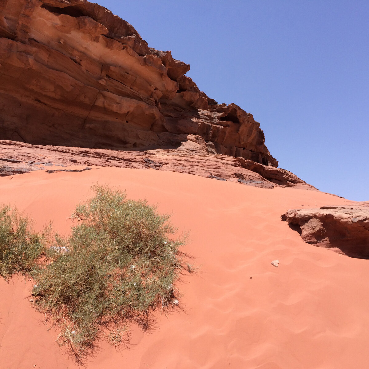 Desert al. Оазис в пустыне Аравии. Пустыни Аравийского полуострова. Аравийская пустыня ОАЭ. Пустыня Аль Кудра.