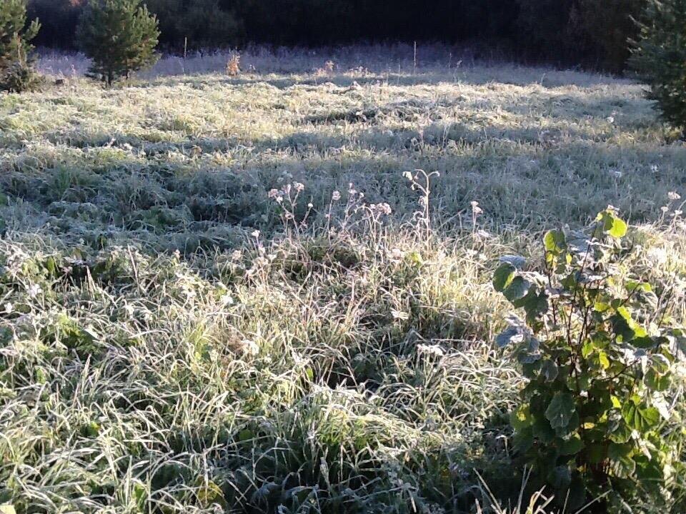 Фото – Сергей Саранский / «Мой Верхошижемский район | Верхошижемье»