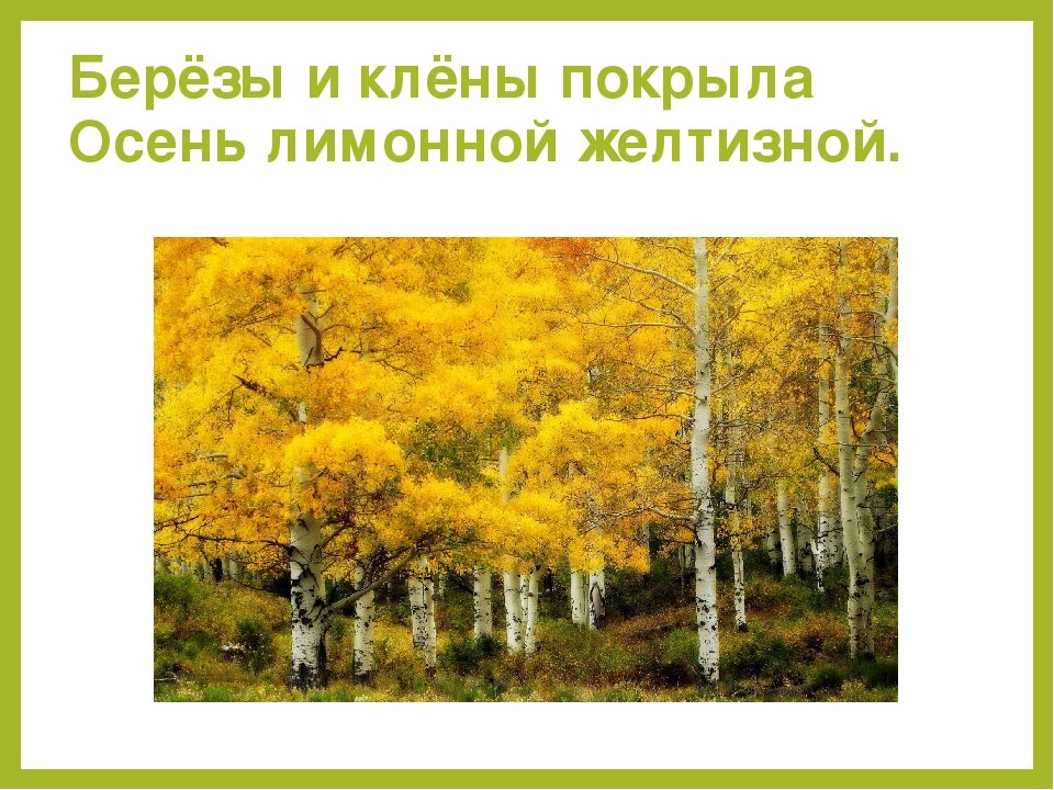 Всяк по своему скребицкий технологическая карта подготовительная группа
