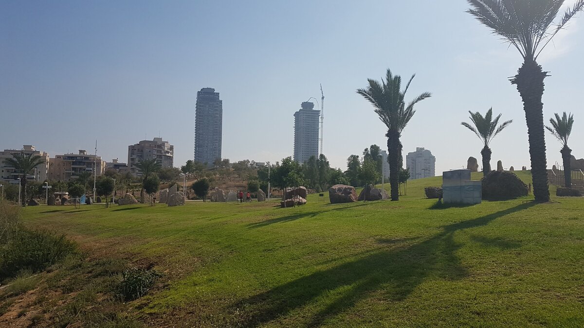 Израиль=пальмы