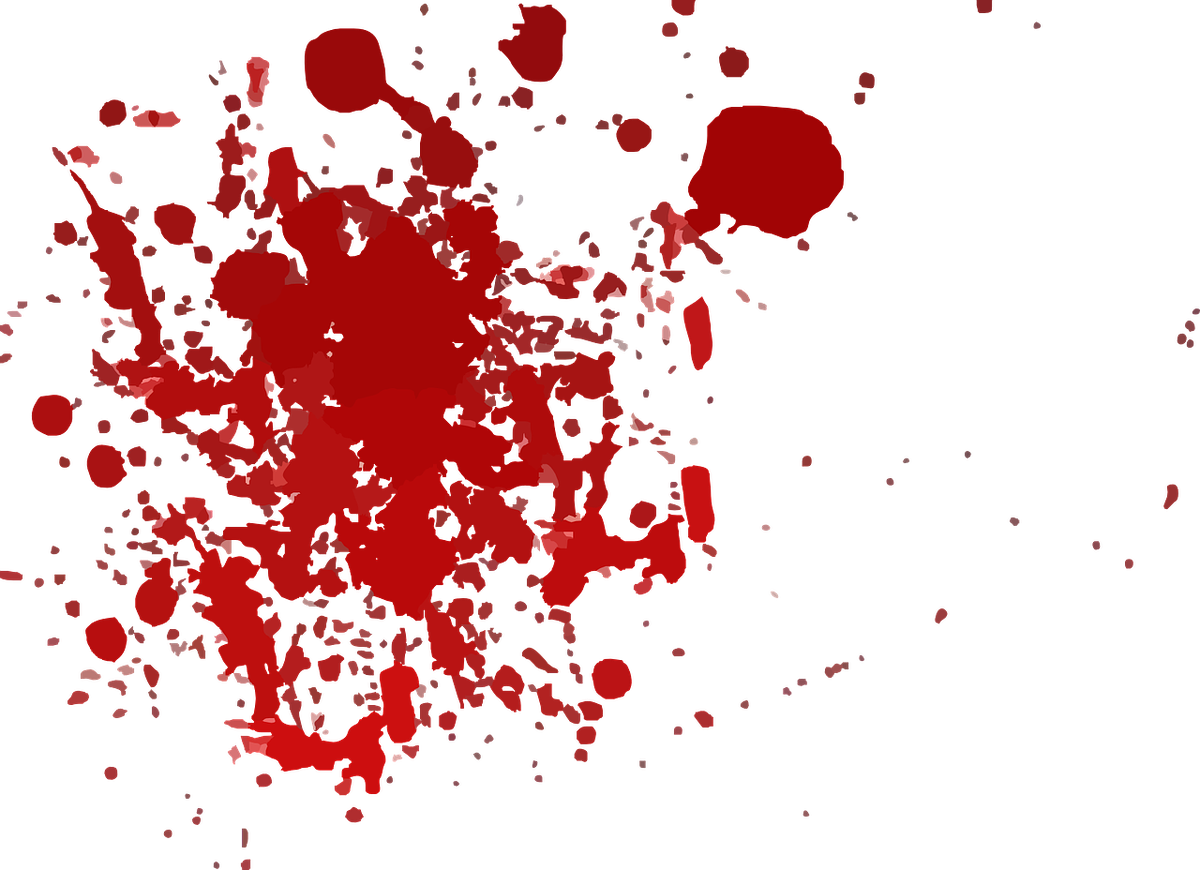 Фото: pixabay.com