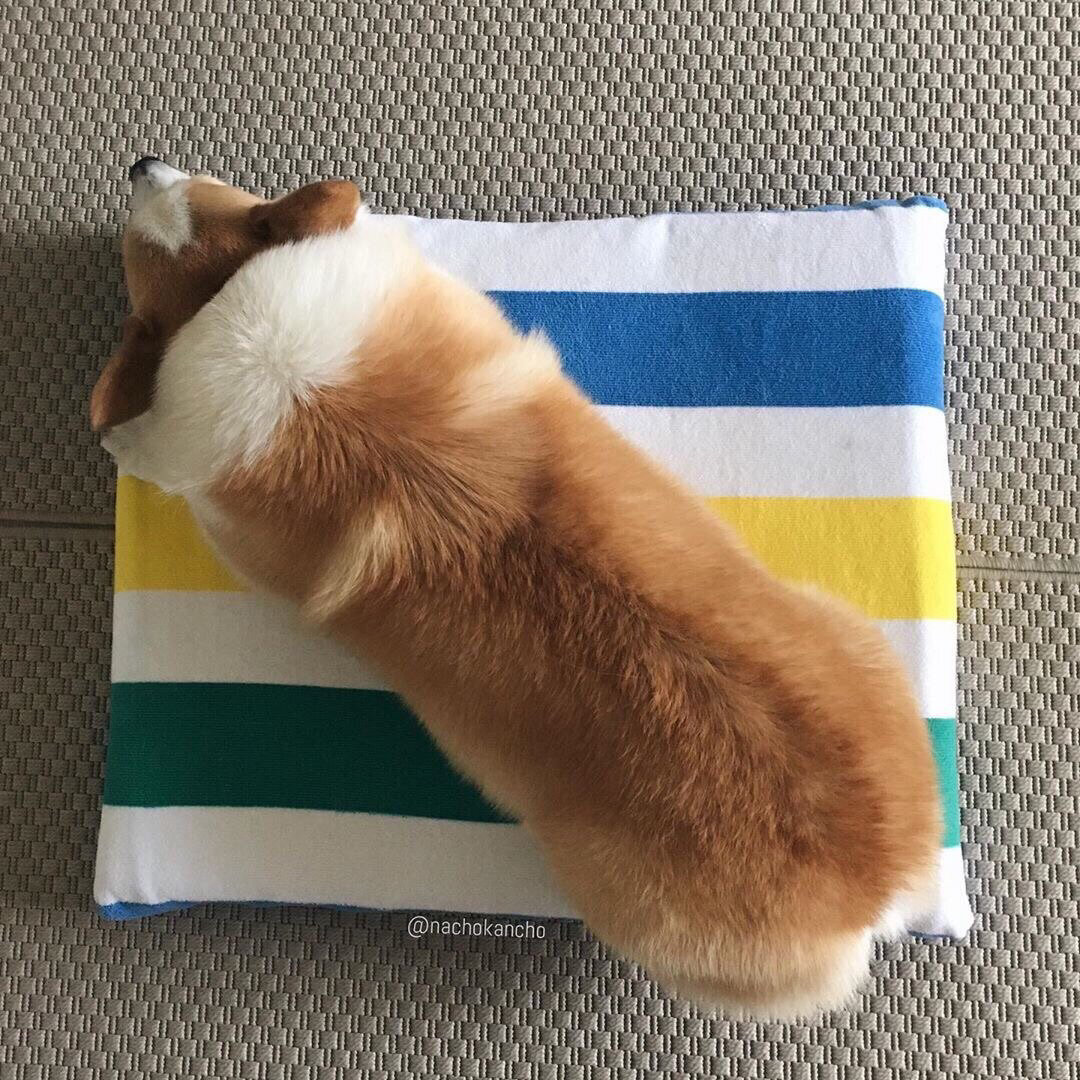 Источник: Instagram.com