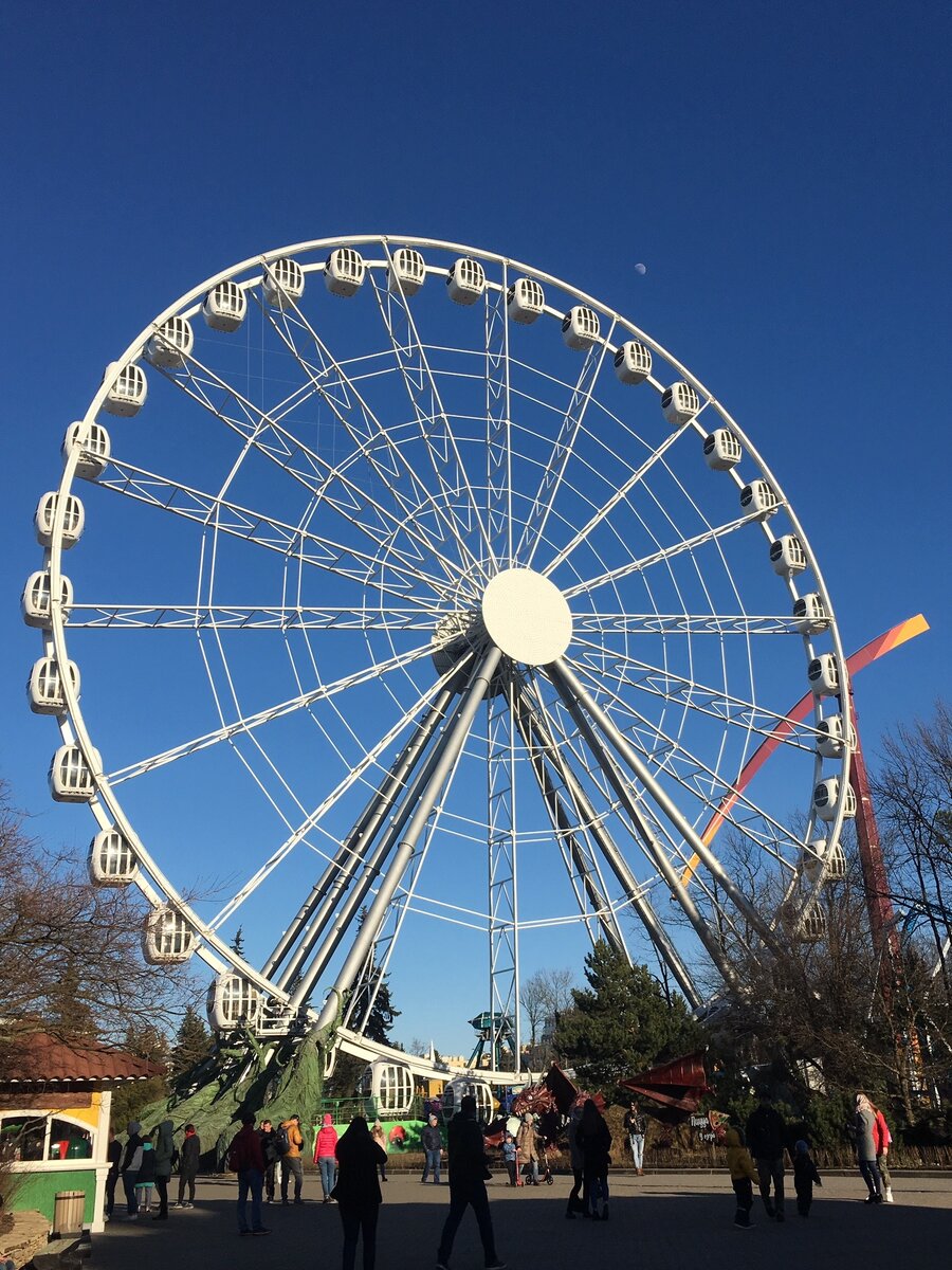 Из личного архива