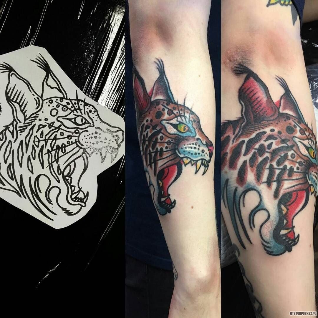Что означает татуировка с изображением рыси
