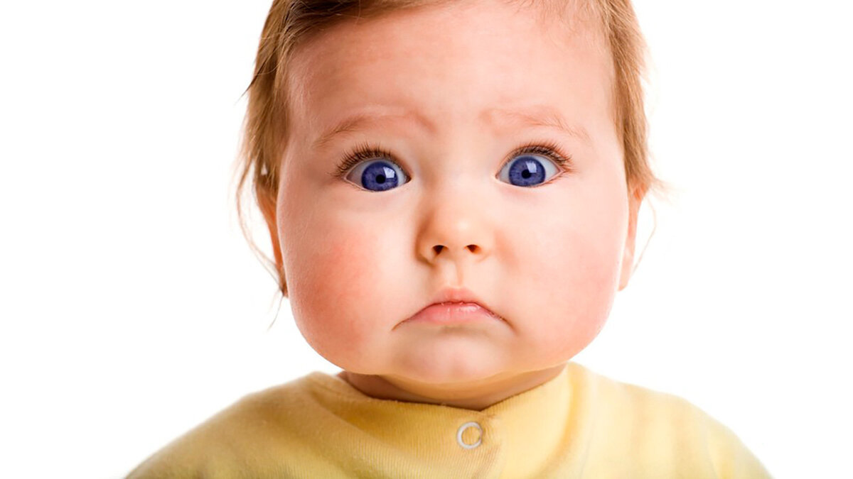 взято из открытого источника яндекс.картинки