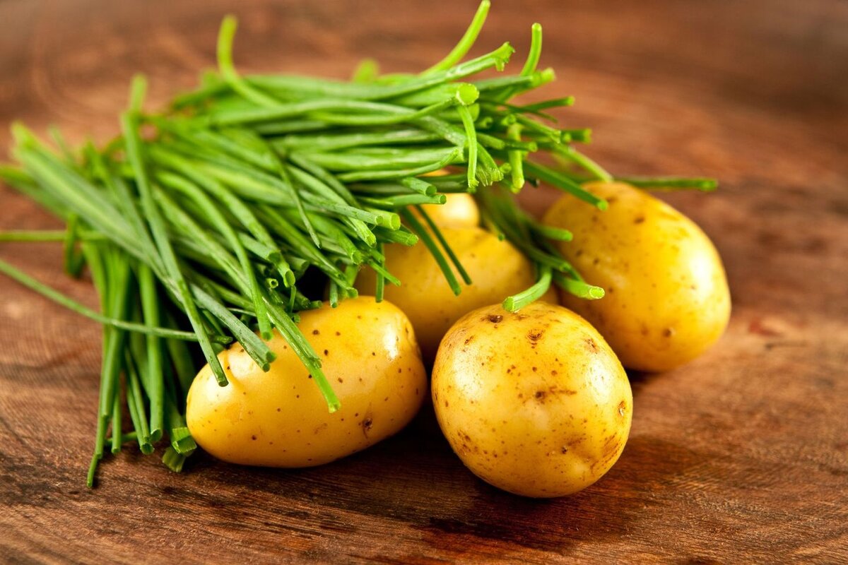 Не так страшен картофель, как его малюют: польза и вред картофеля для здоровья