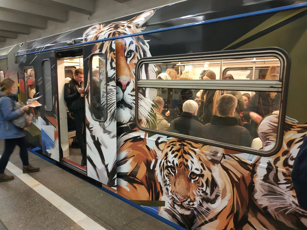 Поезд Амурский тигр в метро