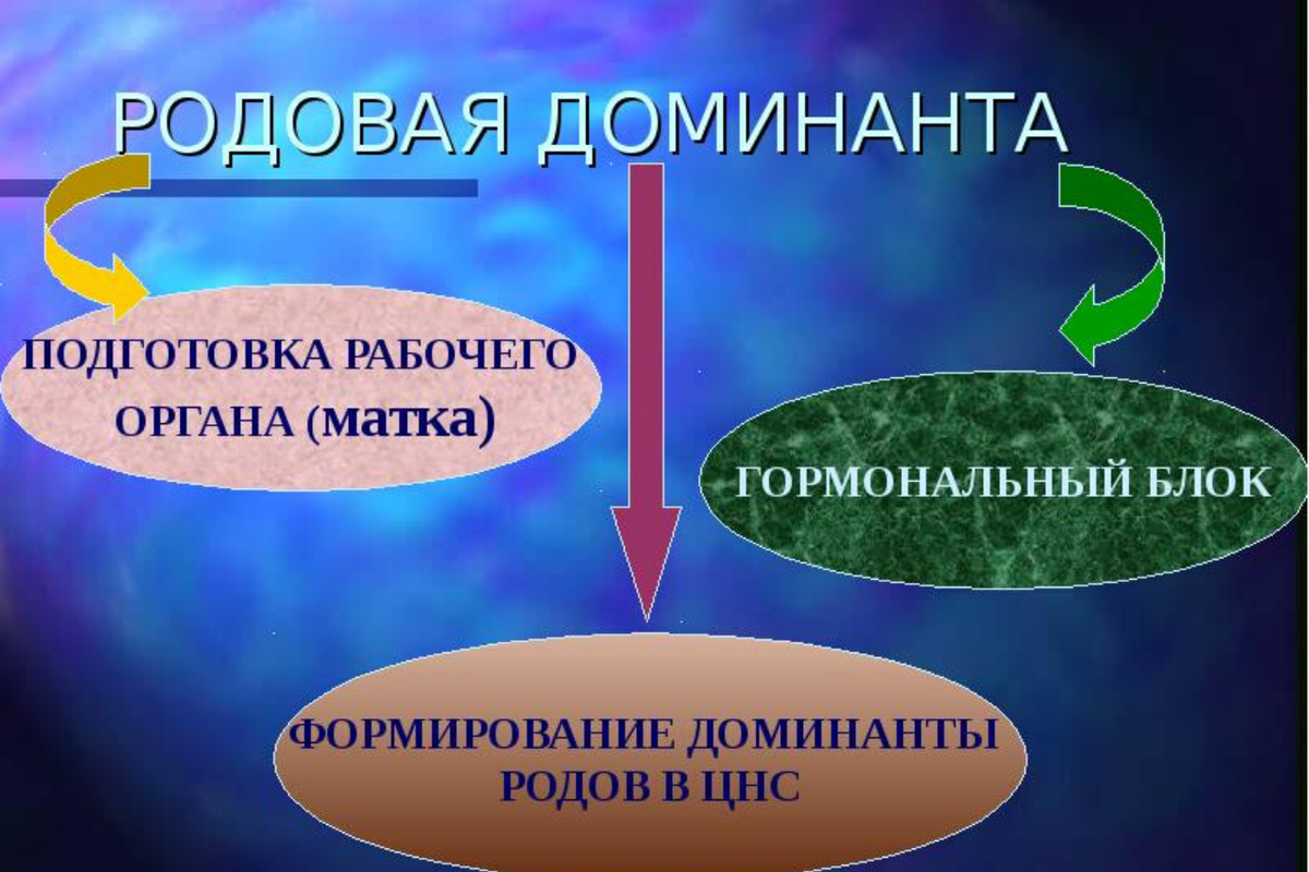 Доминанта беременности-как она формируется.Пройдите простой тест и узнайте  как сформировалась ваша доминанта | ПОБЕДИ БЕСПЛОДИЕ | Дзен