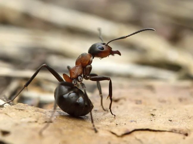 фото яндекс картинки