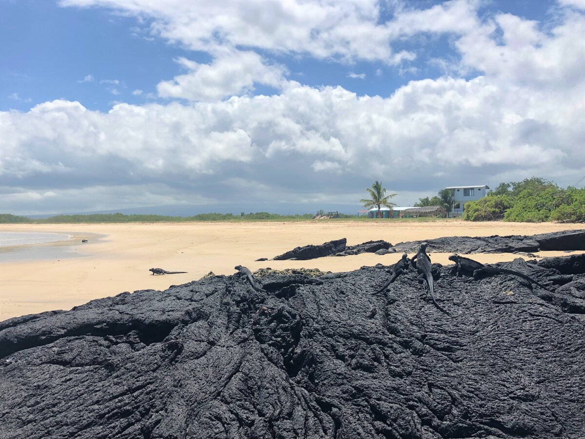 Пляж на Галапагосах