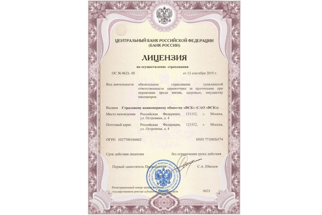 Как выглядит номер лицензии на ведение бизнеса