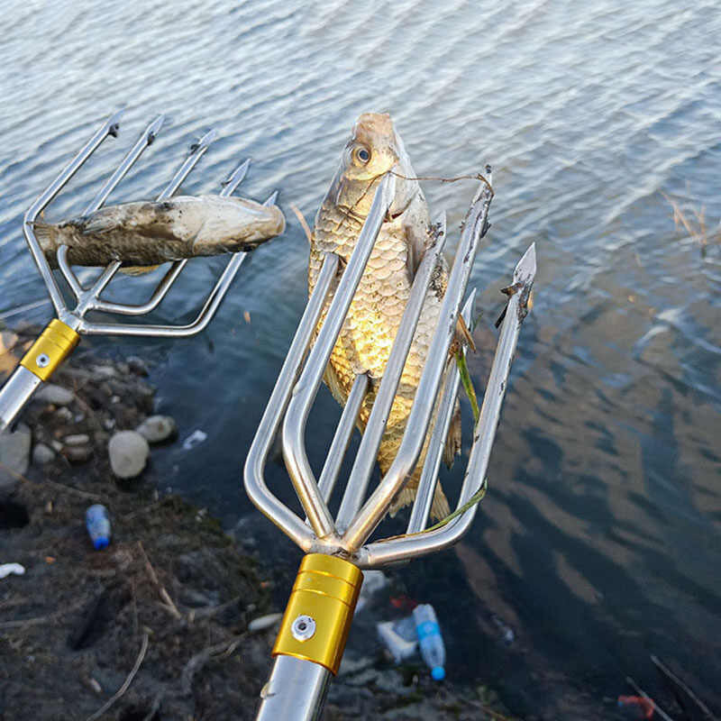 Фото из "Яндекс картинки"