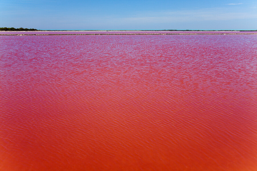 Фото красной воды