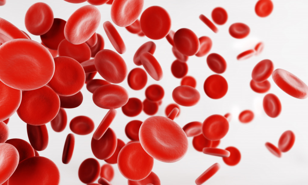 Источник Яндекс картинки