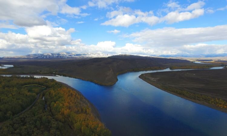 Фото Яндекс.Картинки.