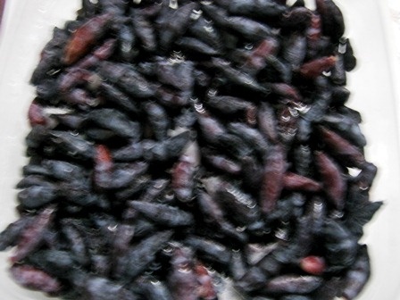 Это замороженая ягода из моих запасов.