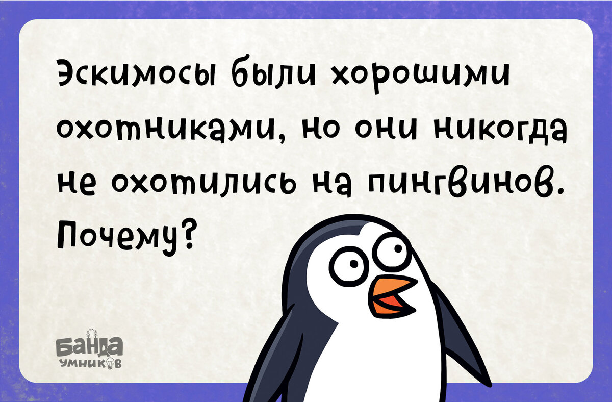 Вы сидите в самолёте, впереди вас лошадь, позади вас лодка. Где вы? 🛩 |  Банда умников | Дзен