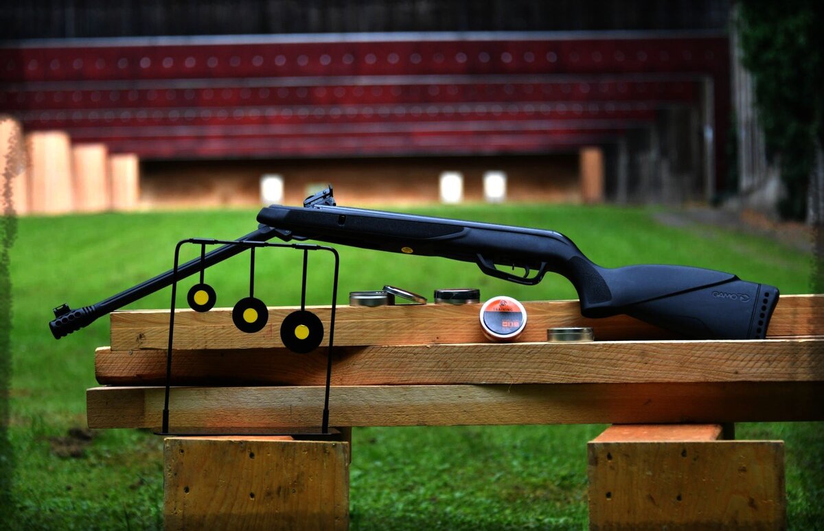 Gamo Black Bear