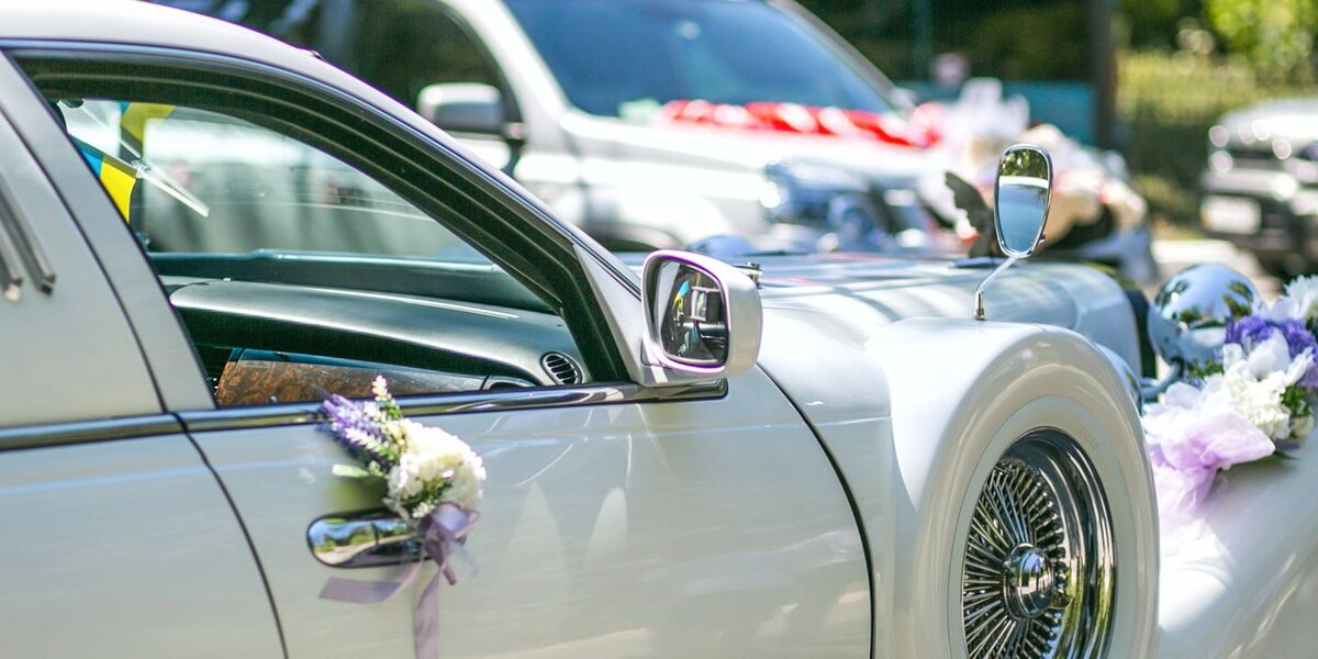 фото с яндекс картинки