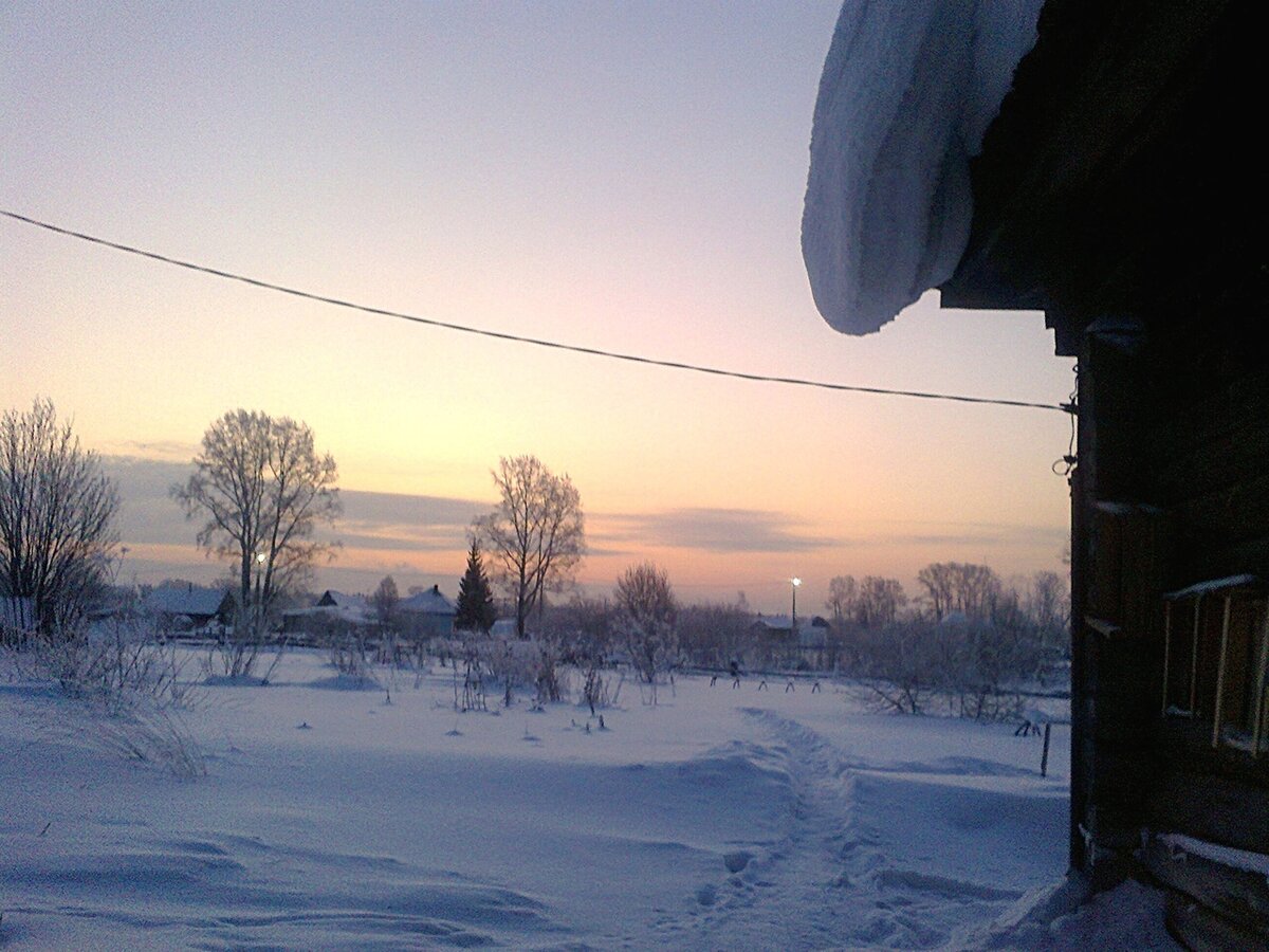 Зима сибирь огни зоны. Таежка 8 дзен. Соль с голубым пажитником. Таежка 8 дзен. Посуда из хвои.