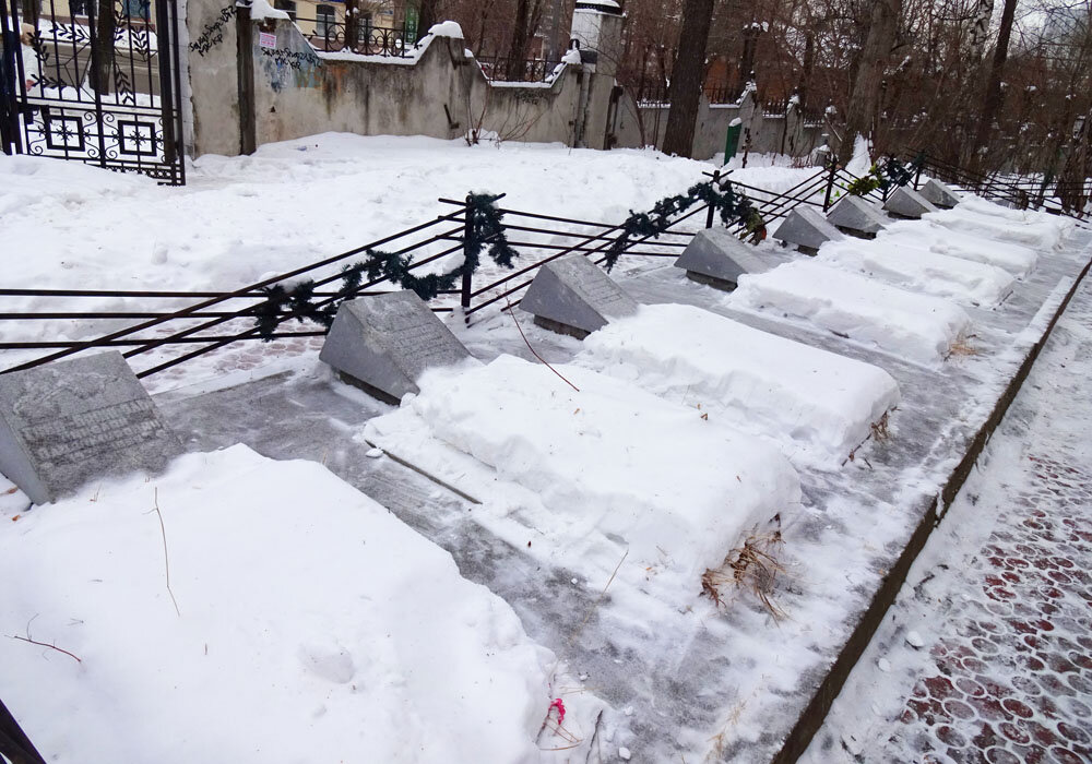 Шмель пасётся на цветах лука. Загородный дом