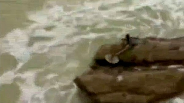 Фото предполагаемой русалки 