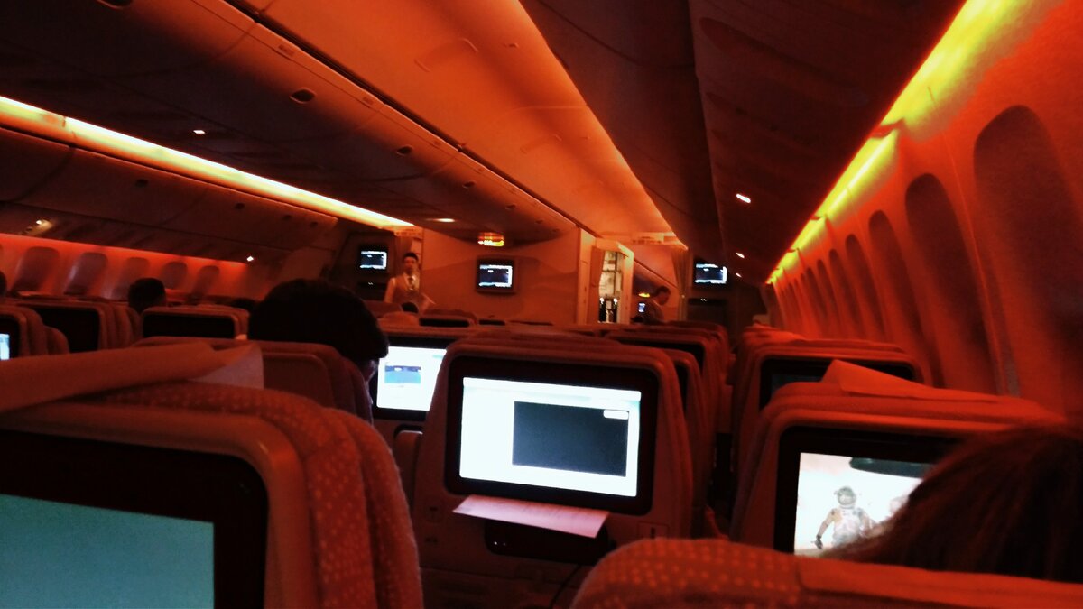 Фото автора. Перелет компанией  Emirates (листайте вправо)