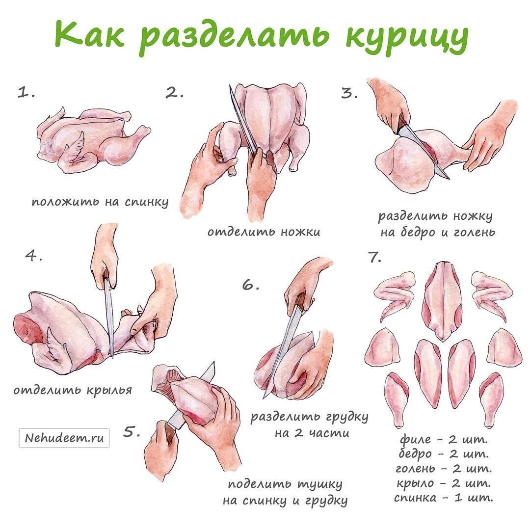 Схема разделки курицы. На одну курицу у меня уходит не больше 2-3 минут.