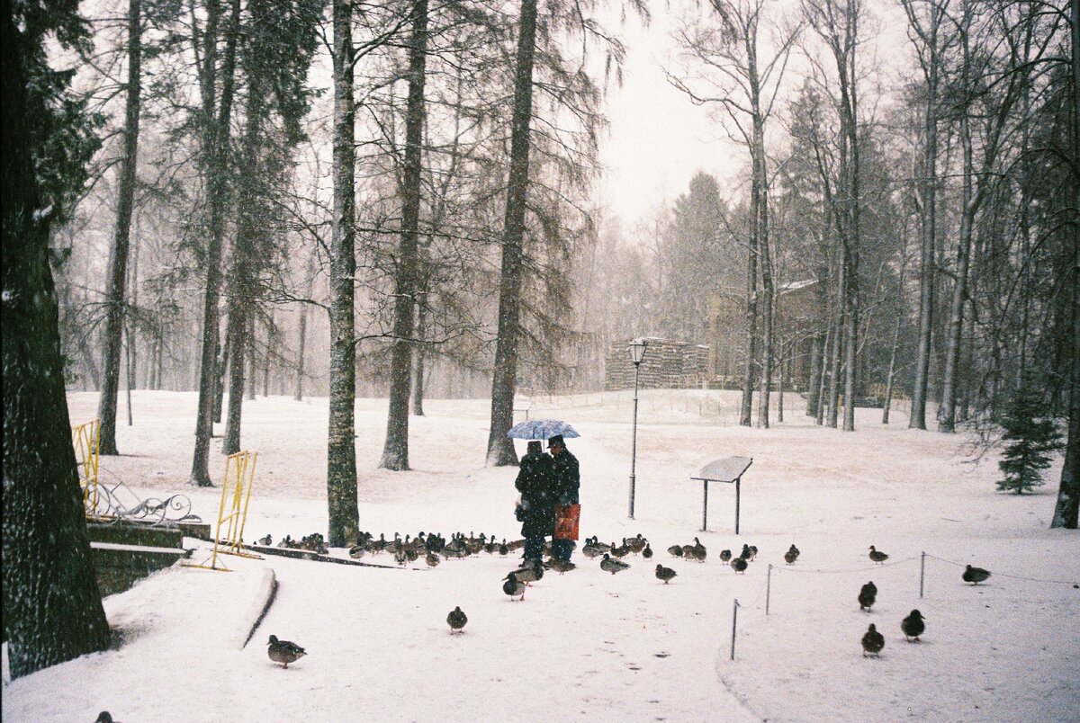 Фото из инстаграма @second_end