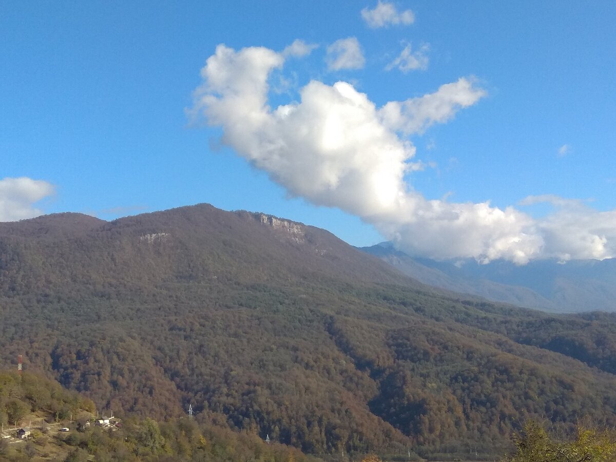 Виды с террасы дома.